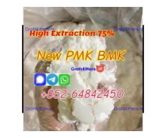 Netherlands hot sale new PMK Powder with high yield