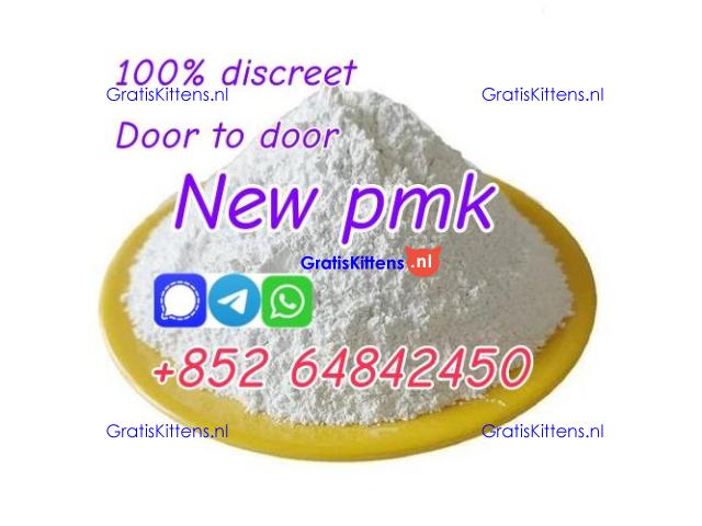 Netherlands hot sale new PMK Powder with high yield