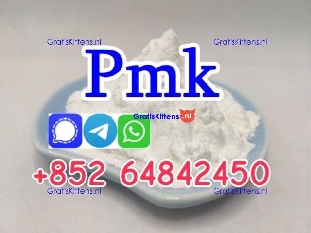 Netherlands hot sale new PMK Powder with high yield