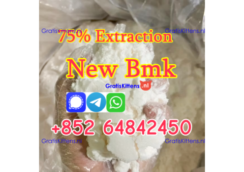 What is BMK Glycidic Acid ?