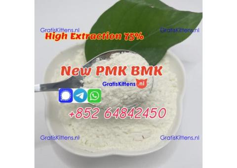 supply new pmk powder bmk powder factory price