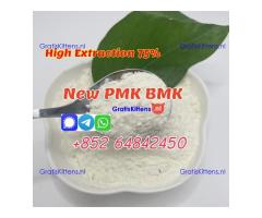 supply new pmk powder bmk powder factory price