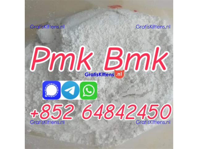 supply new pmk powder bmk powder factory price