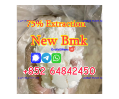 cas5449-12-7 Sodium salt BMK Glycidic Acid new bmk powder