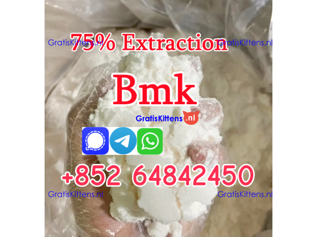 cas5449-12-7 Sodium salt BMK Glycidic Acid new bmk powder