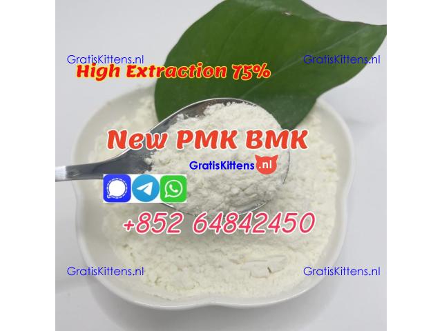 cas5449-12-7 Sodium salt BMK Glycidic Acid new bmk powder