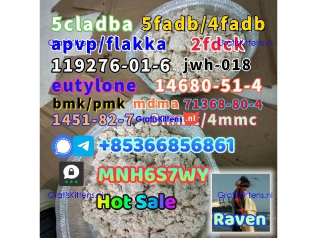 1451-82-7 raw material wholesale affordable price