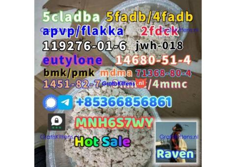1451-82-7 raw material wholesale affordable price