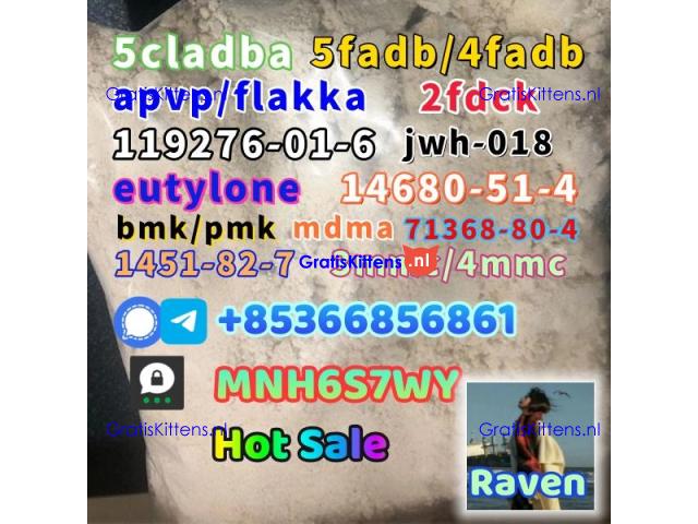 1451-82-7 raw material wholesale affordable price