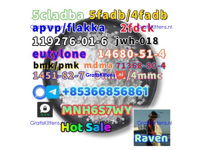 1451-82-7 raw material wholesale affordable price
