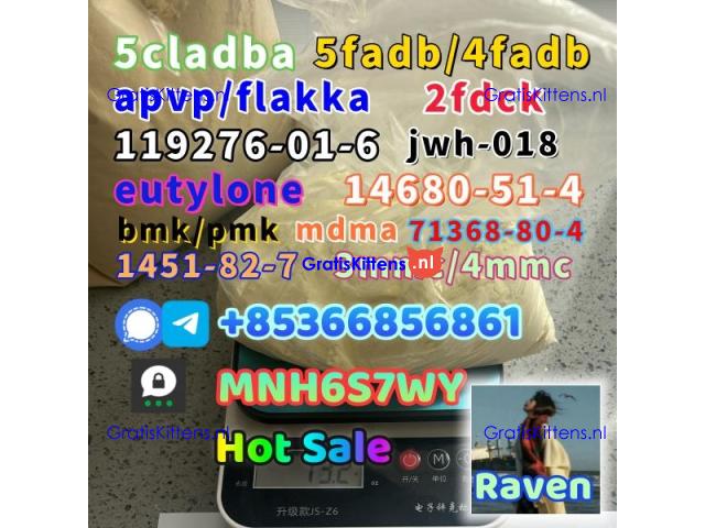 86347-14-0 good quality Medetomidine hot sale