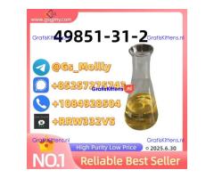 CAS 49851-31-2 for Organic Synthesis – Custom Quantities Available!