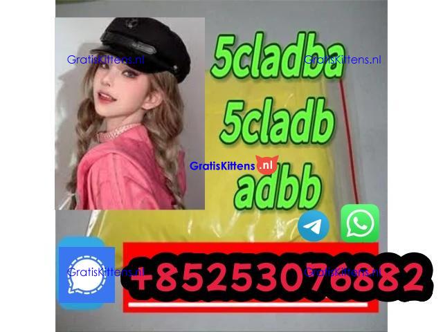 4fadb 5cl 5cladb sgt151 2cp euty bmk