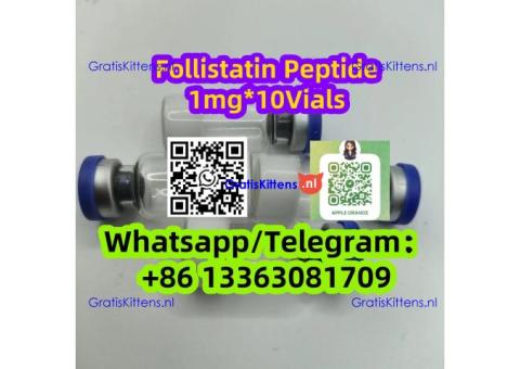 Follistatin 1mg*10Vials Peptide