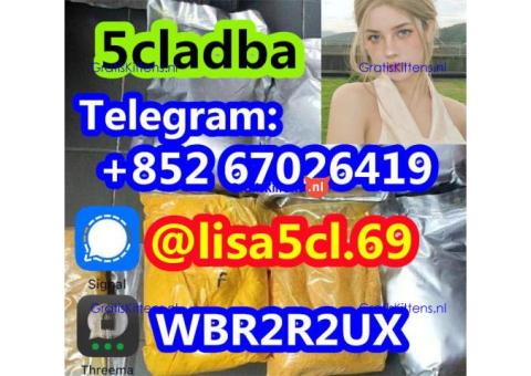 strongest cannabis 5cladba powder 5cl-adb-a jwh-018 lowest price large stock