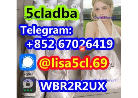 5cladba 5fadb Raw Materials 5cladb adbb 5cl-adb-a In Stock
