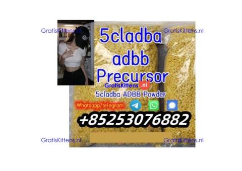 adbb 4cl 4fadb sgt78 jwh018 5cladb 4cmc