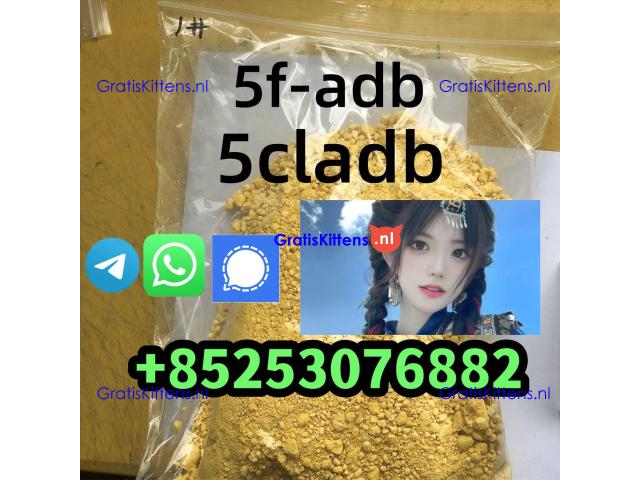 adbb 4cl 4fadb sgt78 jwh018 5cladb 4cmc