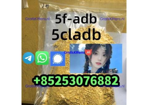 adbb 4cladb 5fadb 5cladb euty sgt78 jwh