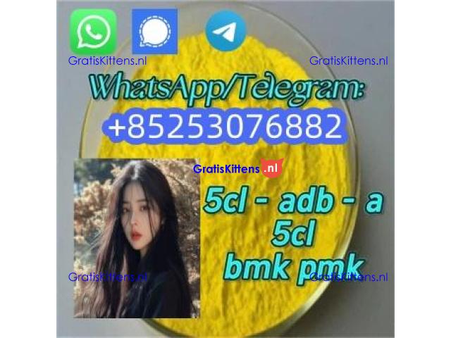 adbb 4cladb 5fadb 5cladb euty sgt78 jwh