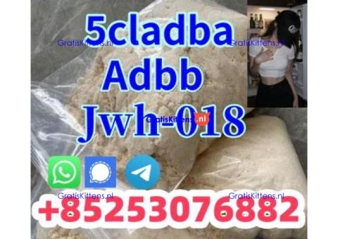 adbb 4cladb 5fadb 4fadb euty appp high quality
