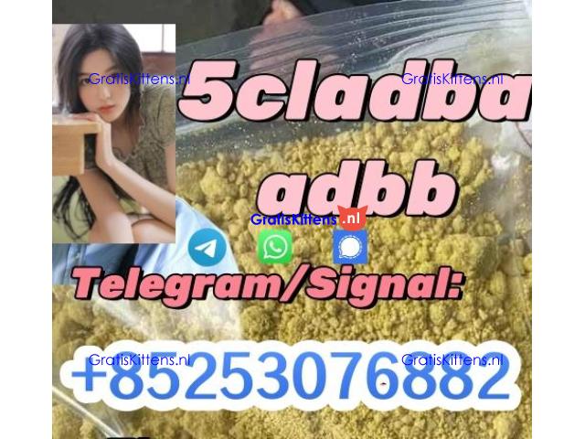 adbb 4cladb 5fadb 4fadb euty appp high quality