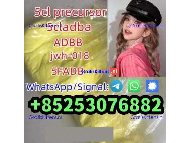 adbb 4cladb 5fadb 4fadb euty appp high quality