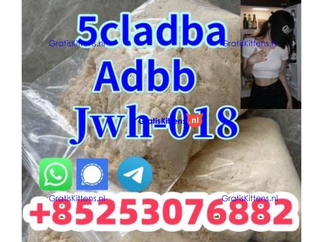 high quality 4cl adbb 4cladb 5cladb euty sgt151 jwh
