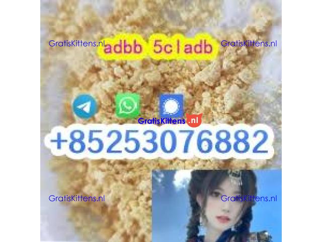 high quality 4cl adbb 4cladb 5cladb euty sgt151 jwh