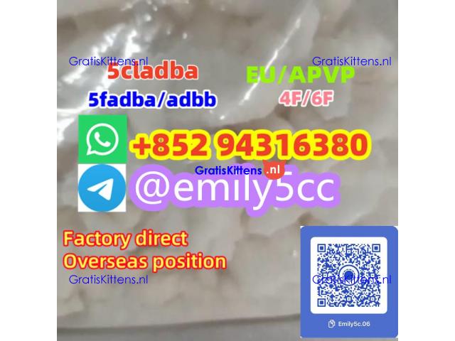 EU Crystal N-Isopropylbenzylamine CAS 102-97-6/28578-16-7/20320-59-6/ 5413 -05-8/109555-87-5 