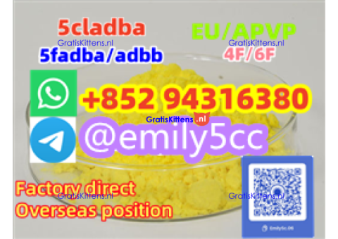N-Desethyl lsotonitazene CAS:2732926-24-6, 