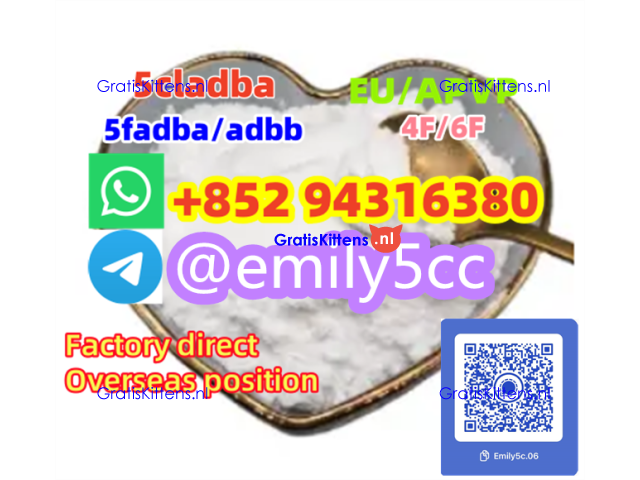 Xylazine HCl Xylazine Powder CAS 7361-61-7 CAS 23076-35-9 Xylazine best price