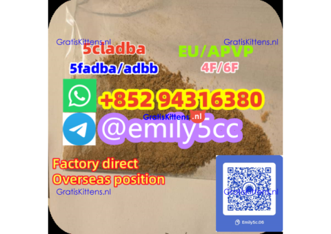 Protonitazene 119276-01-6 f5 hotsale in the United States,