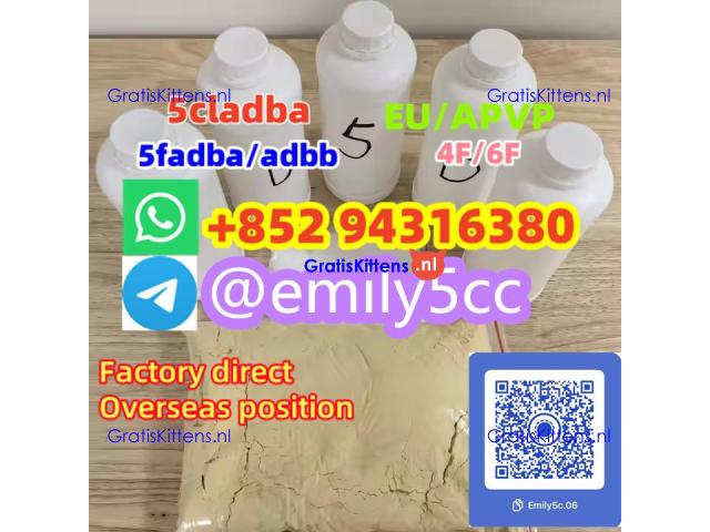 Raw Material 5cl 5cladba Precursor Raw 5cl-adb-a Adbb Best Supplier,