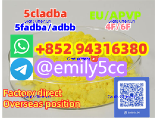 N-Desethyl lsotonitazene CAS:2732926-24-6, 