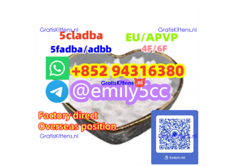 1451-83-8 bk4 1451-82-7 2b4m f5 High qualiyt in stock,