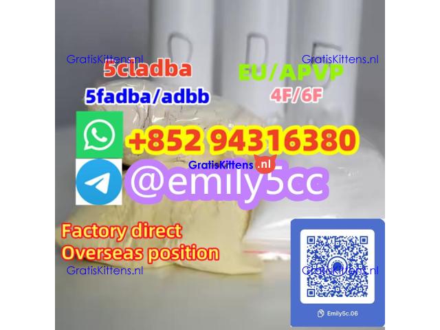 5cladb/ 5CLADBA/ Adbb/ 5fadb / 5cl-adb-a /5f-ADB 43120-28-1 
