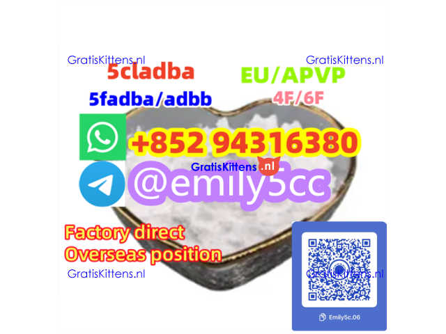 CAS 79099/19099-93-5/ 288573-56-8/ 443998-65-0/ 28578-16-7