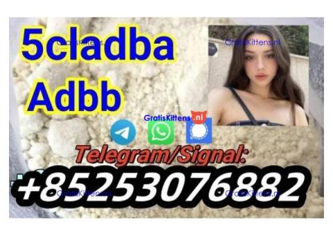 yellow-powder-5cl-adb-a-4f-adb-6cl-adb-a-5f-adba-2cl