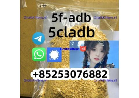 5cl precursor 4cladb adbb 2cladba 6cl sgt78 euty