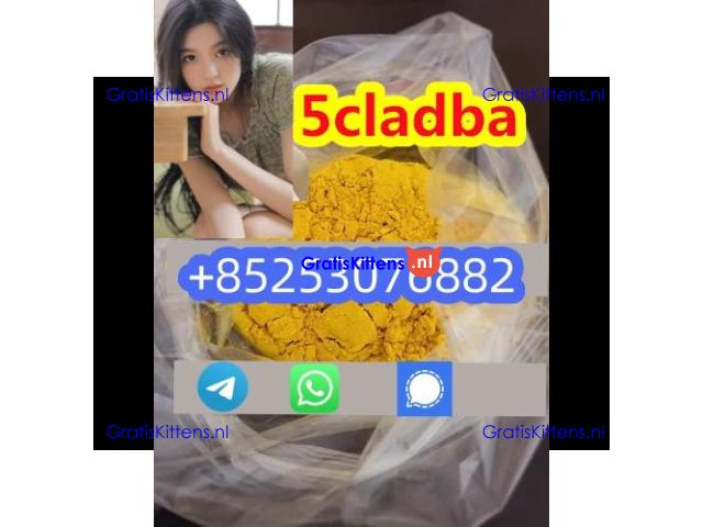 6cladb 4cl 5cladb adbb sgt78 jwh018 Europe warehouse