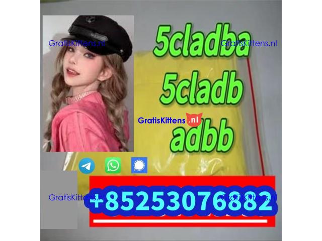 factory price 4cladb 5cl 6fadba 2cl adbb 4cmc 2cp
