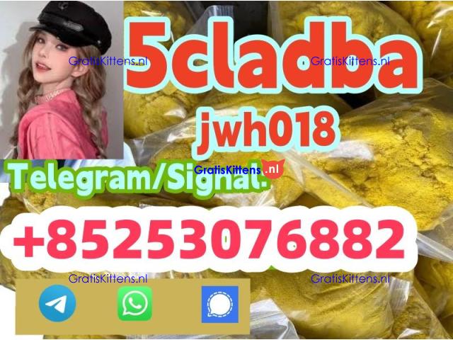 4fadb 2cladb 6cl adbb 5cladb sgt151 AB-C raw material