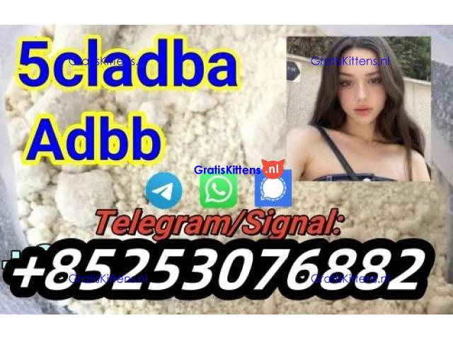 5cl 4fadba 6cladbb 2cl 4cmc euty bmkpm Strong Effect