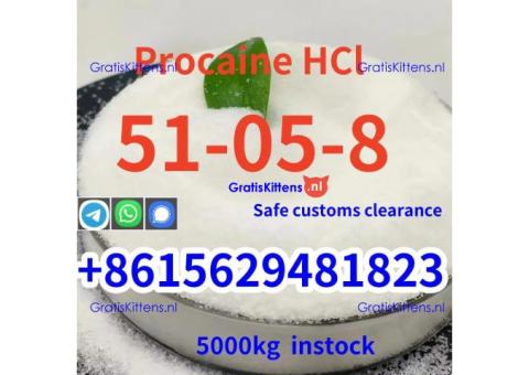 99.9% Procaine HCl Procaine HCl CAS 51-05-8 Best price