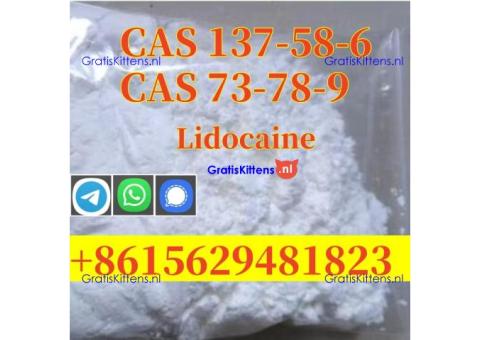 High purity Lidocaine CAS 137-58-6