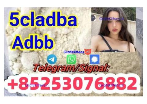 4cladb 5fadb adbb 4fadb euty appp competitive prices