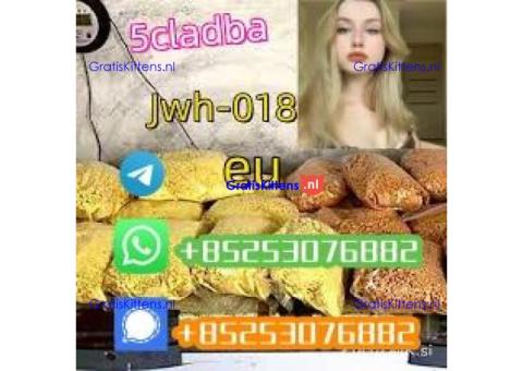 4cl 4fadb 5cladb 6cladb adbb sgt151 jwh018 SUPPLEMENTARY