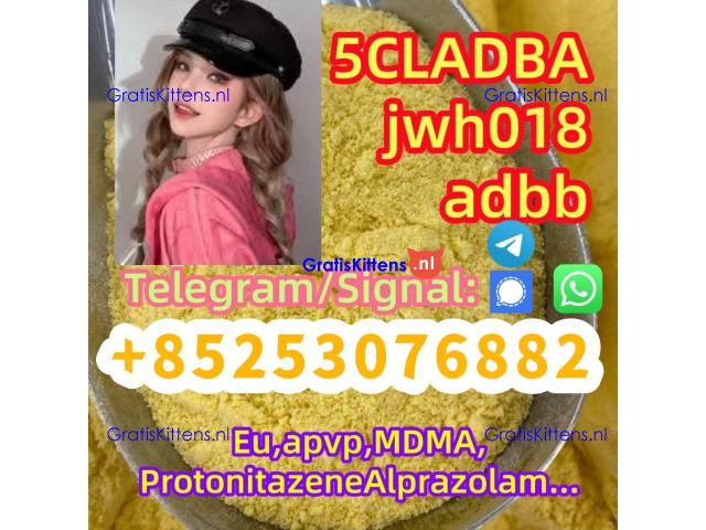 4cl 4fadb 5cladb 6cladb adbb sgt151 jwh018 SUPPLEMENTARY
