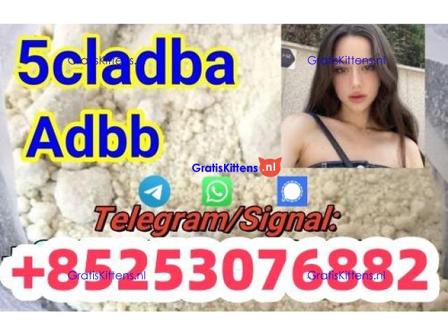 Strong Effect adbb 4cl 5fadb 5cladb sgt78 jwh018 3mmc